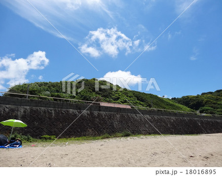 夏の昼寝 18016895