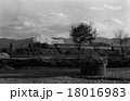 山陰本線晩秋の馬堀発車 18016983