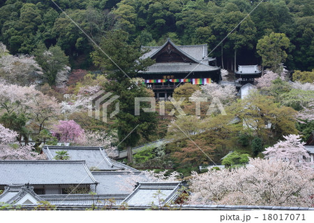奈良 春の長谷寺 奈良 春の長谷寺 18017071