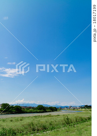 日野市の風景　河原　浅川 18017199