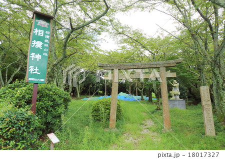 奈良　相撲神社 18017327