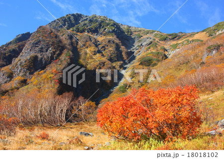 南アルプス　北岳バットレスとナナカマドの紅葉 18018102