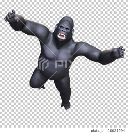 ゴリラ 18021994