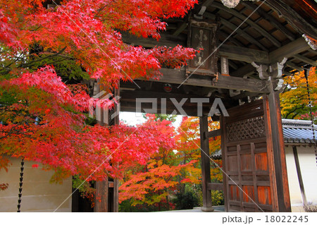 二尊院小倉山と紅葉 18022245