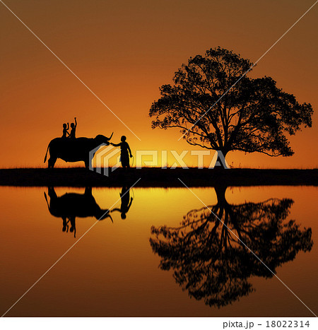 Happy boy riding water buffalo. Happy boy riding water buffalo. 18022314
