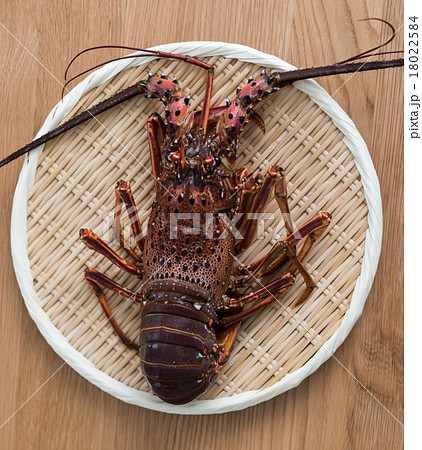 伊勢海老 18022584