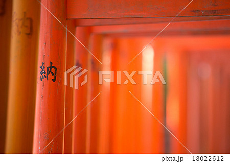 鳥居（とりい） 18022612