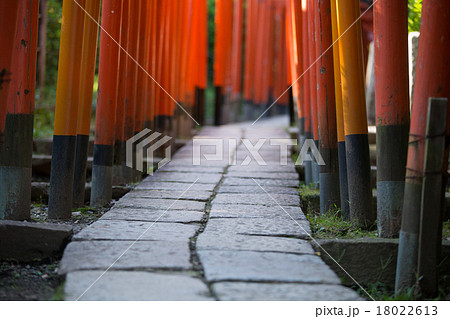 鳥居（とりい） 18022613