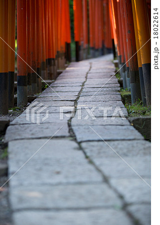 鳥居（とりい） 18022614