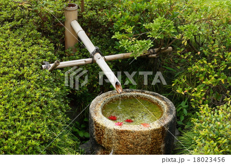 手水鉢の紅葉 18023456