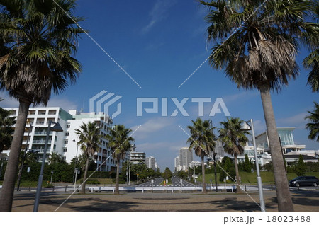 晴れた日の街並み 18023488