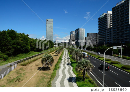 千葉市ベイエリア　海浜幕張　海浜大通り 18023640