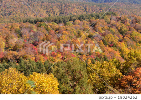 西吾妻山紅葉の写真素材