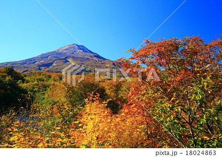 鳥海山 竜ケ原湿原の紅葉 鳥海山 竜ケ原湿原の紅葉 18024863