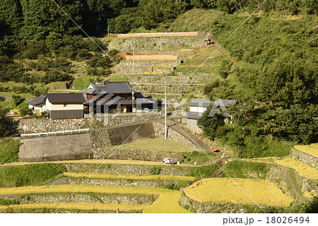 愛媛内子の棚田 18026494
