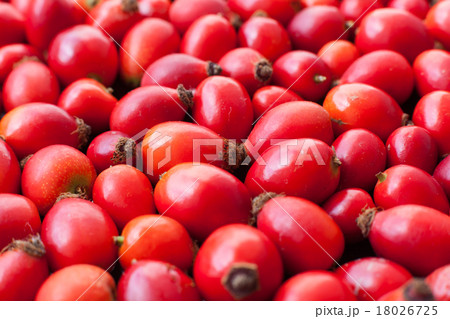 Raw rose hips 18026725
