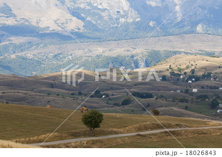mountains in Durmitor national Park 18026843