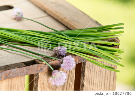 chives on the wooden table chives on the wooden table 18027780