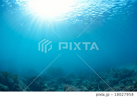 葉山芝崎の海 18027958