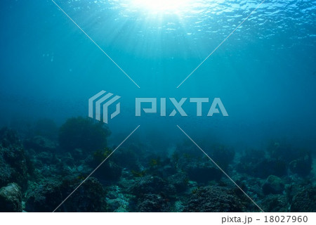 葉山芝崎の海 18027960