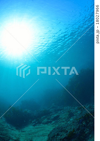 葉山芝崎の海 18027966