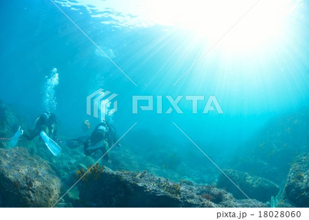 葉山芝崎の海 18028060