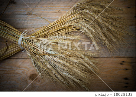 sheaf of barley sheaf of barley 18028132