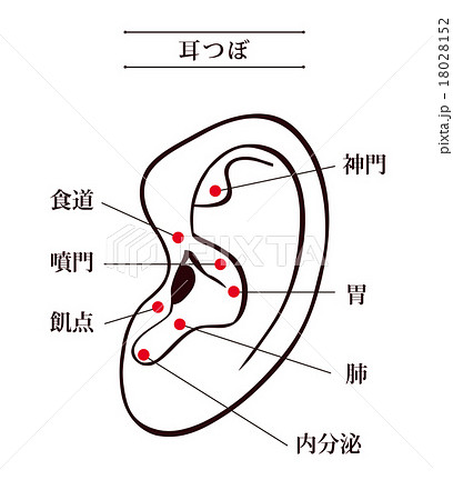 耳つぼダイエット モノクロのイラスト素材