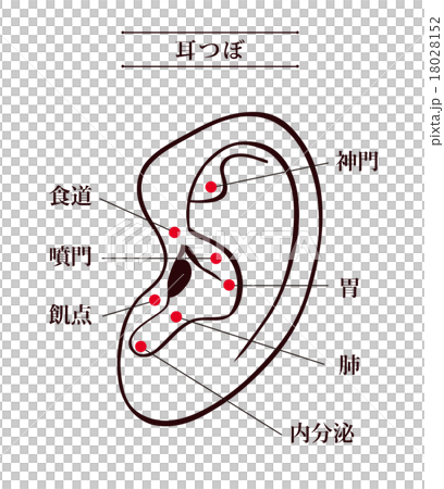 耳つぼダイエット モノクロのイラスト素材