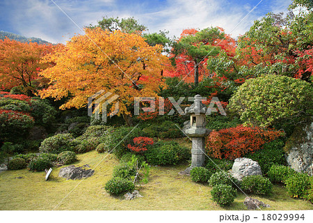紅葉 京都 嵯峨野 紅葉 京都 嵯峨野 18029994