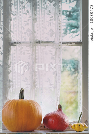 Assortment of different pumpkins on windowsill 18030478