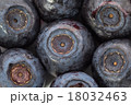 Unfrozen blueberries. Macro. Closeup 18032463