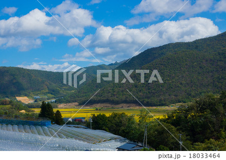 田園風景 田園風景 18033464