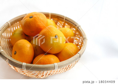 みかん 18034409