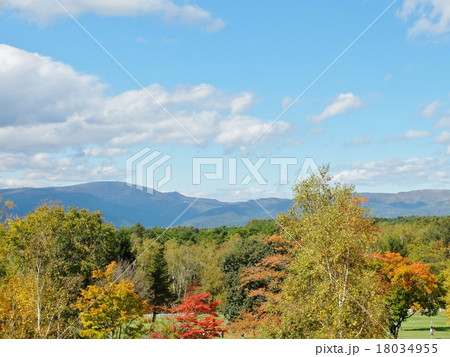 青空とアルプスと八ヶ岳自然文化園の紅葉 青空とアルプスと八ヶ岳自然文化園の紅葉 18034955