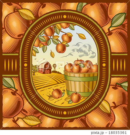 Apple harvest 18035361