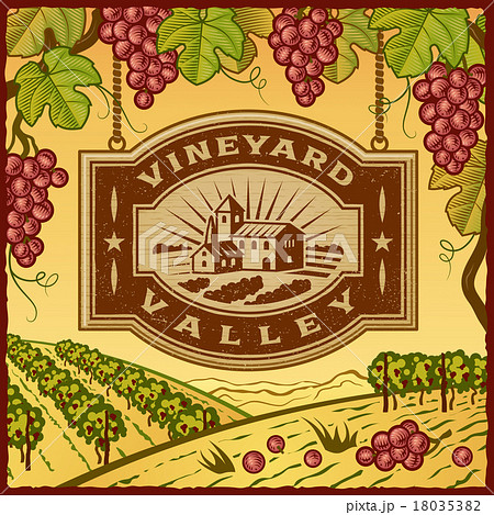 Vineyard Valley 18035382
