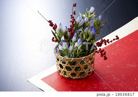 和花 和花 18036817