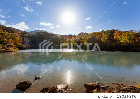 朝の八甲田地獄沼 2015 18036886