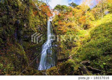紅葉の幕滝 18037016