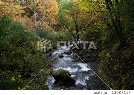 八千穂高原 大石川渓流 八千穂高原 大石川渓流 18037117