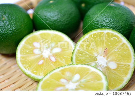 すだち すだち 18037465