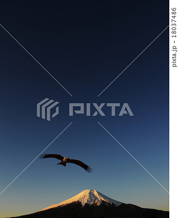 初夢イメージ 一富士 二鷹 初夢イメージ 一富士 二鷹 18037486