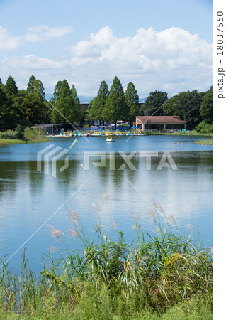 ボートに乗れる池 昭和記念公園 の写真素材