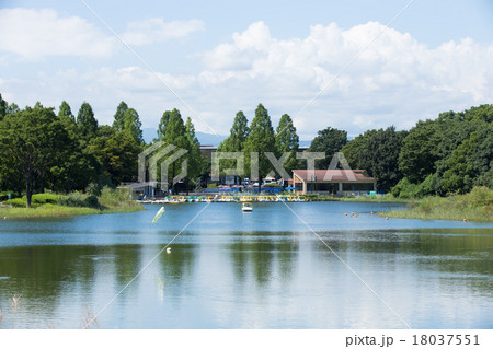 ボートに乗れる池 昭和記念公園 の写真素材