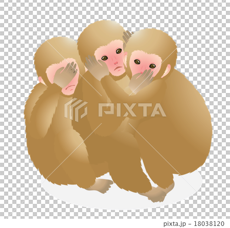 猴子明信片 18038120