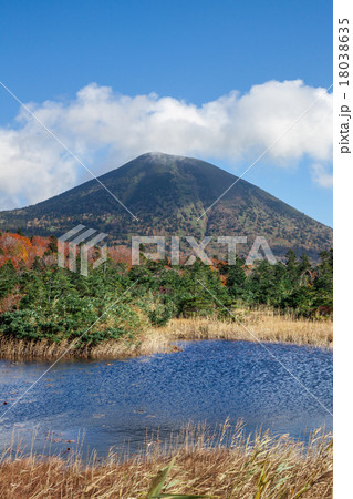 睡蓮沼と八甲田高田大岳 18038635