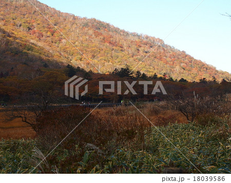 覚満淵の紅葉 18039586