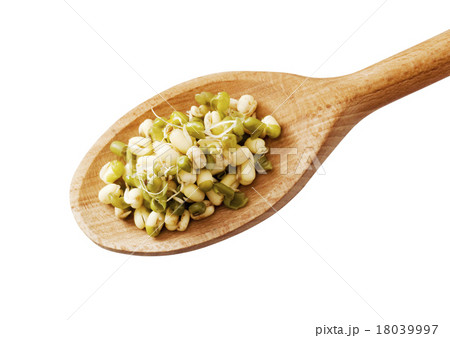 Mung beans 18039997