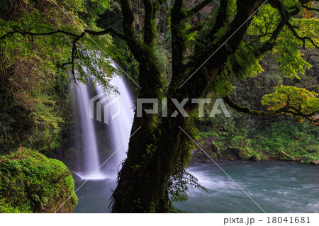 慈恩の滝 18041681